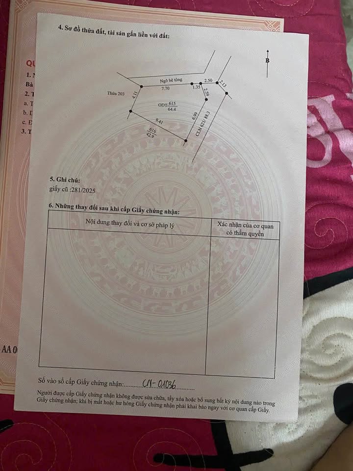 Đất nền Cẩm Thượng Hải Dương 44m² chỉ 800 triệu - Sổ đỏ chính chủ