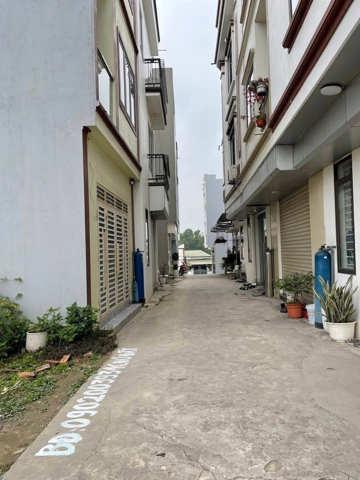 Đất nền 81.7m² Phường Cao Xanh, Hạ Long - Sổ đỏ chính chủ, giá 1.85 tỷ