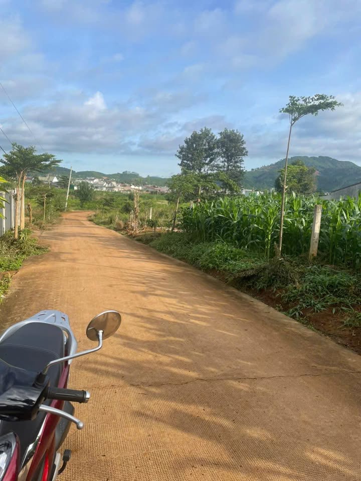 Đất Nền Lâm Hà 320m² Sổ Sẵn - Gần Chợ Thanh Bình