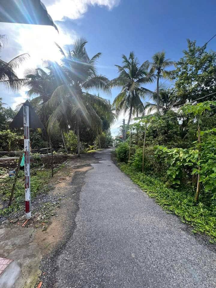 Bán Đất Nền Mặt Tiền Đường Nhựa Xã Đông Hòa Hiệp, Cái Bè, Tiền Giang - 288m² Giá 870 Triệu