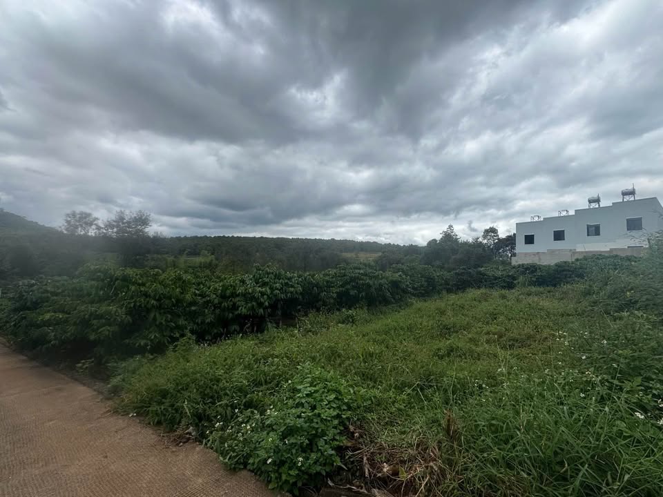 Đất nền Hẻm 109 Nguyễn Thiếp, Đăk Đoa, Gia Lai - 120m² Sổ Đỏ, Giá 1.x Tỷ