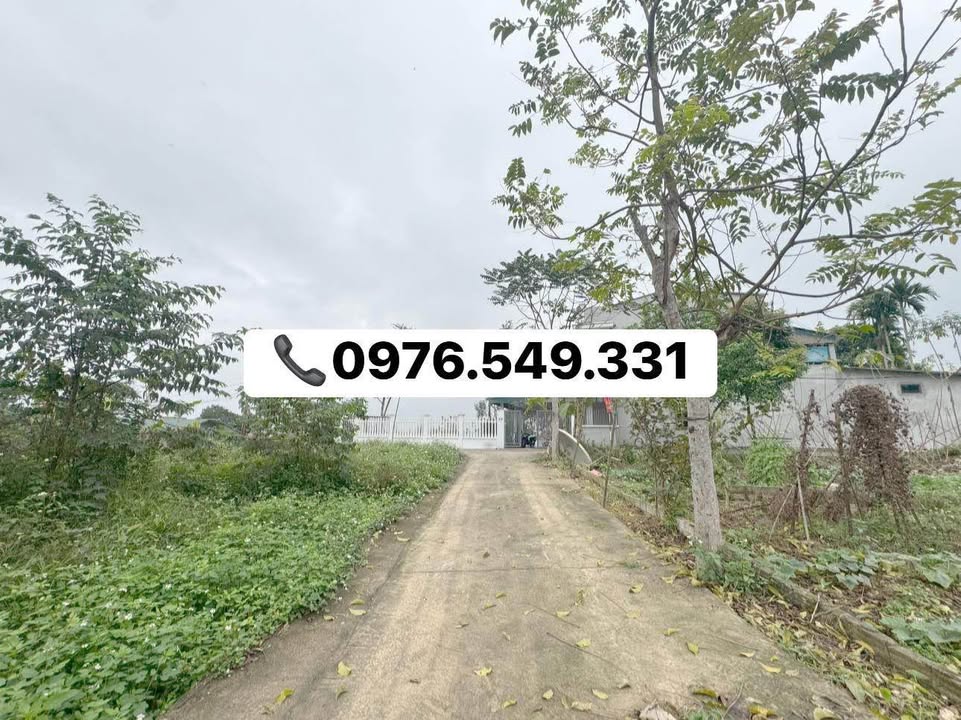 Bán Đất Tuyên Quang 120m² Sổ Đỏ Sẵn Sàng - Giá Tốt