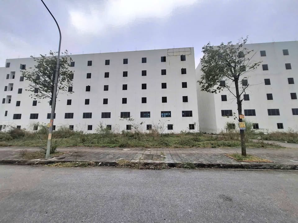 Đất nền Him Lam Thụ Ninh 86.3m² – Sổ hồng sẵn sàng, sinh lời vượt trội!