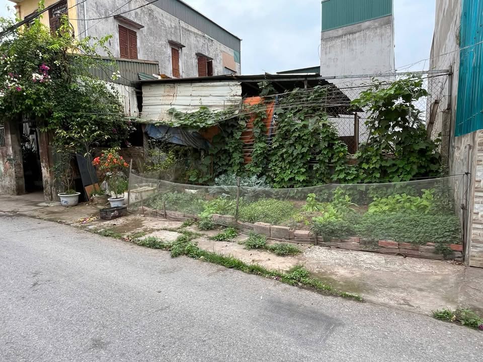 Đất nền Tân Bình TP. Thái Bình 60m² - Sổ đỏ chính chủ, giá tốt!