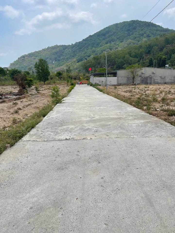 Bán Đất Vườn Phường Phú Mỹ, Bà Rịa - Vũng Tàu 290m² - Giá Chỉ 2 Tỷ