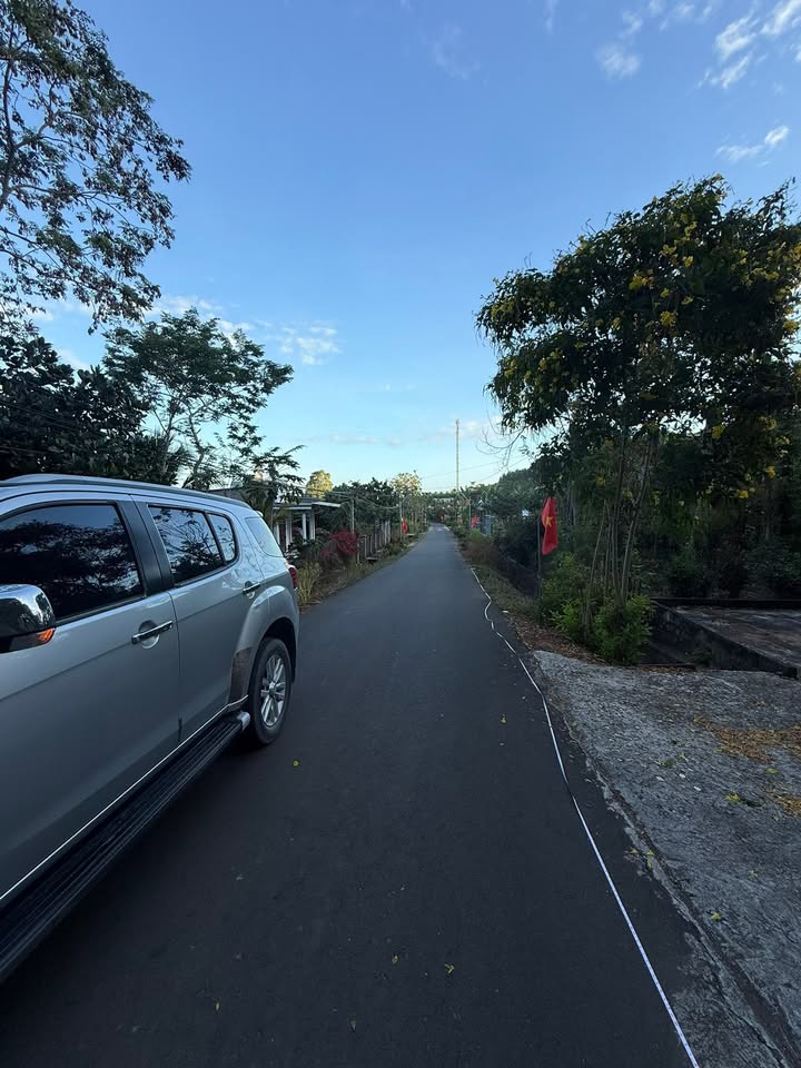 Đất Nền Bình Châu 488m² - Nghỉ Dưỡng Lý Tưởng, Sổ Đỏ Sẵn Sàng!