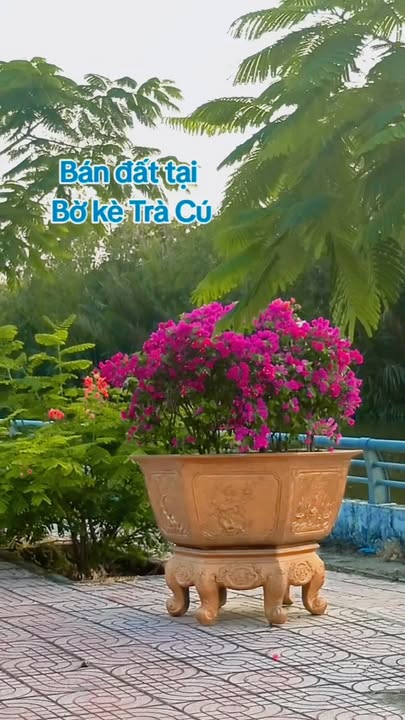 Đất nền 150m² Bờ kè mới Trà Cú, Sổ đỏ - Giá 1.25 tỷ