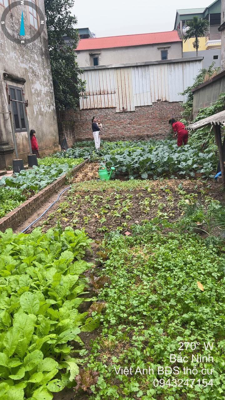 Đất Vàng Yên Trung, Yên Phong, Bắc Ninh - 60m² Sổ Đỏ Sang Tên Ngay