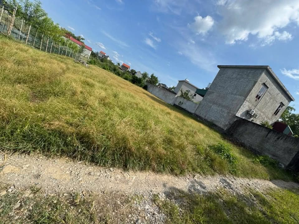 Đất nền Lạc Vân, Nho Quan, Ninh Bình - 152m² thổ cư, tiềm năng tăng giá