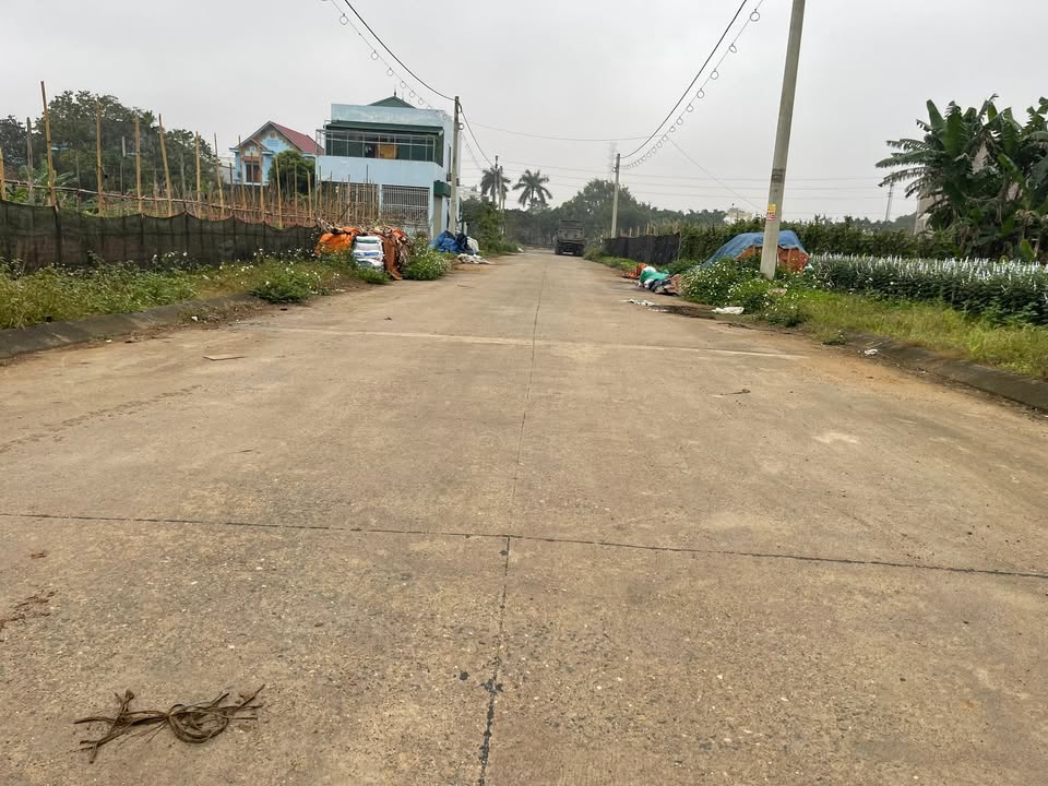 Đất nền Xã Ninh Phúc, TP Ninh Bình 132m² - Tiềm năng tăng giá vượt trội!