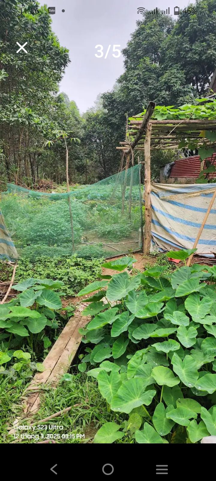 Bán đất Thanh Bình Hà Đông 300m² hơn 1 tỷ - Tiềm năng tăng giá