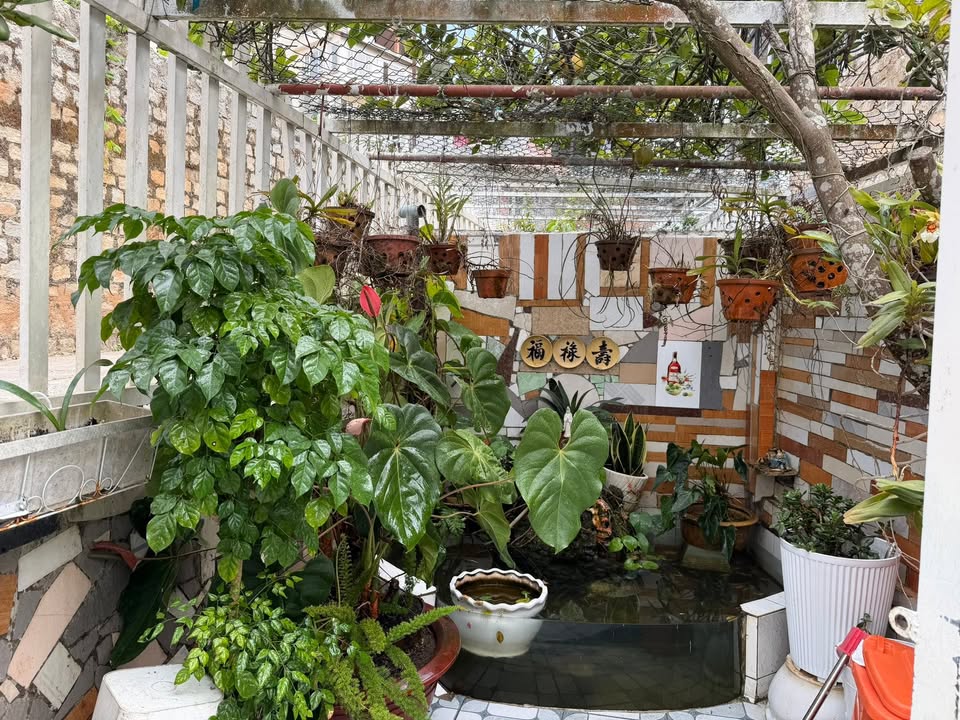 Nhà riêng Đường Tô Hiến Thành Đà Lạt 80m² 3.85 tỷ - Chính chủ bán