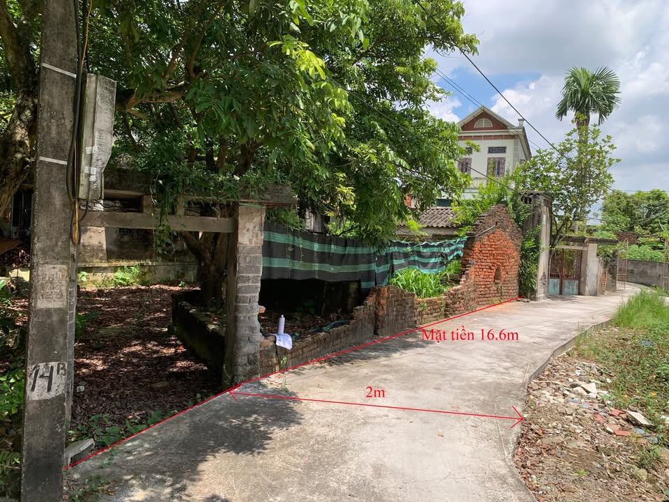 Bán Đất Vàng Phường Ái Quốc, TP Hải Dương – 282m² Sổ Đỏ Chính Chủ