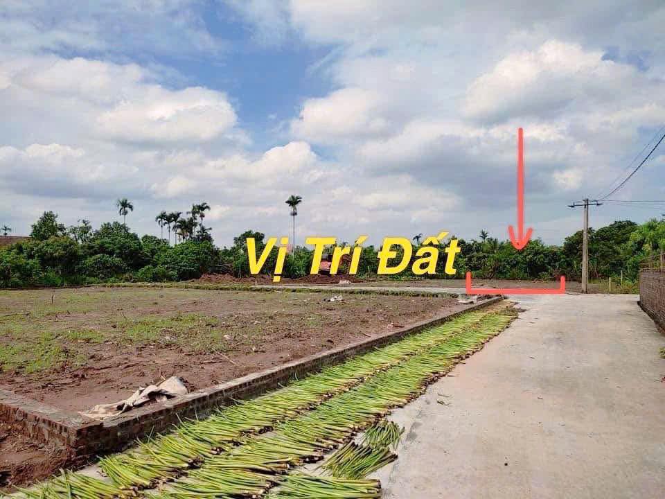 Bán đất Thanh Hà, Hải Dương 113m² - Sổ đỏ sẵn sàng, ô tô vào đất