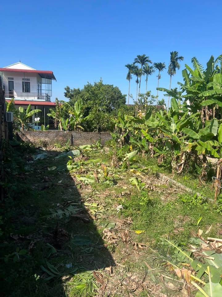 Đất nền Thọ Hải 100m² - Sổ đỏ sẵn, đầu tư/an cư lý tưởng