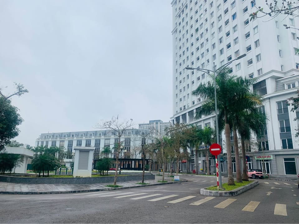 Nhà Mặt Tiền Hoa Châu 64m² - Kinh Doanh Đỉnh Cao, Sổ Đỏ