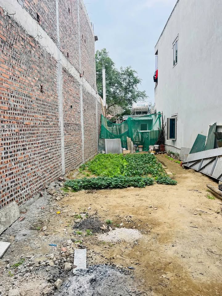 Đất nền Đông Hải TP. Thanh Hóa 117m² - Sổ đỏ chính chủ giá tốt