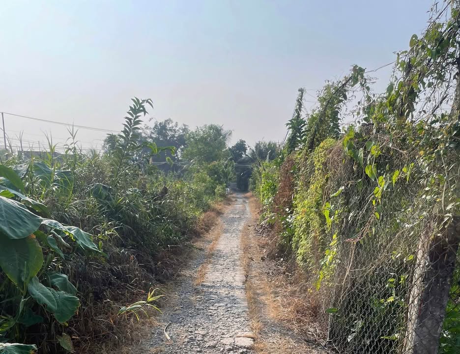 Đất Nền Tiền Giang - 100m² Thổ Cư, Giá Đầu Tư 300 Triệu