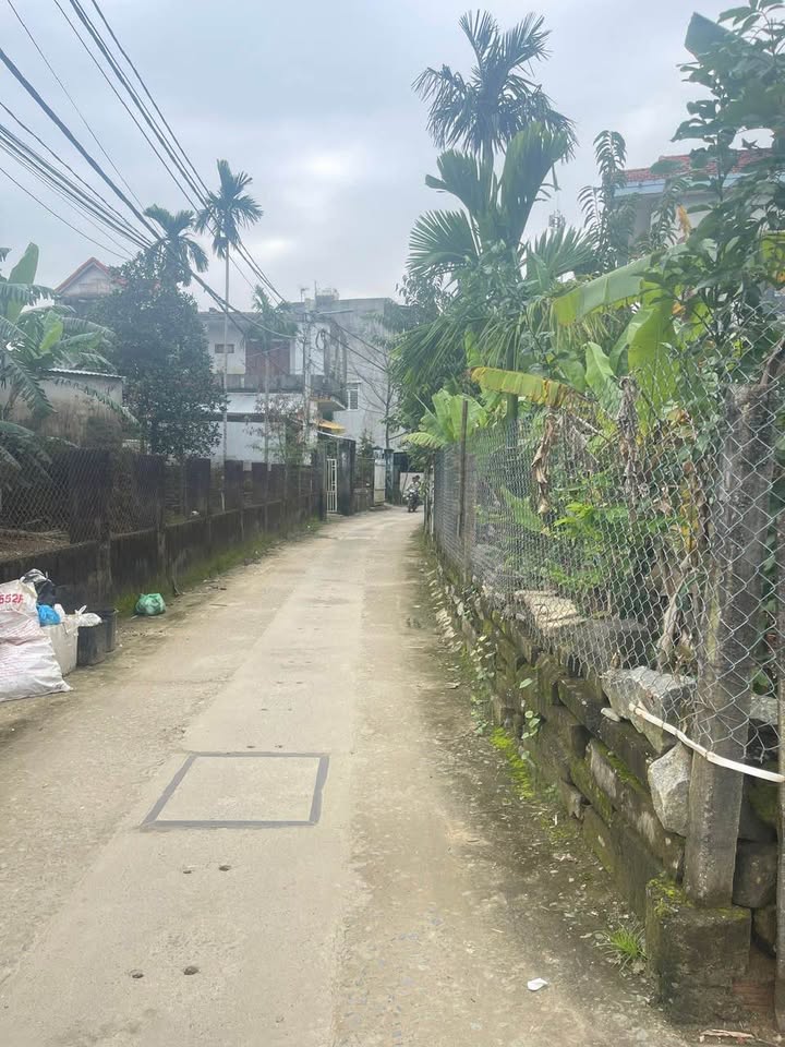 Đất nền Túy Loan 110m² giá 1 tỷ - Sổ đỏ chính chủ, đường ô tô!