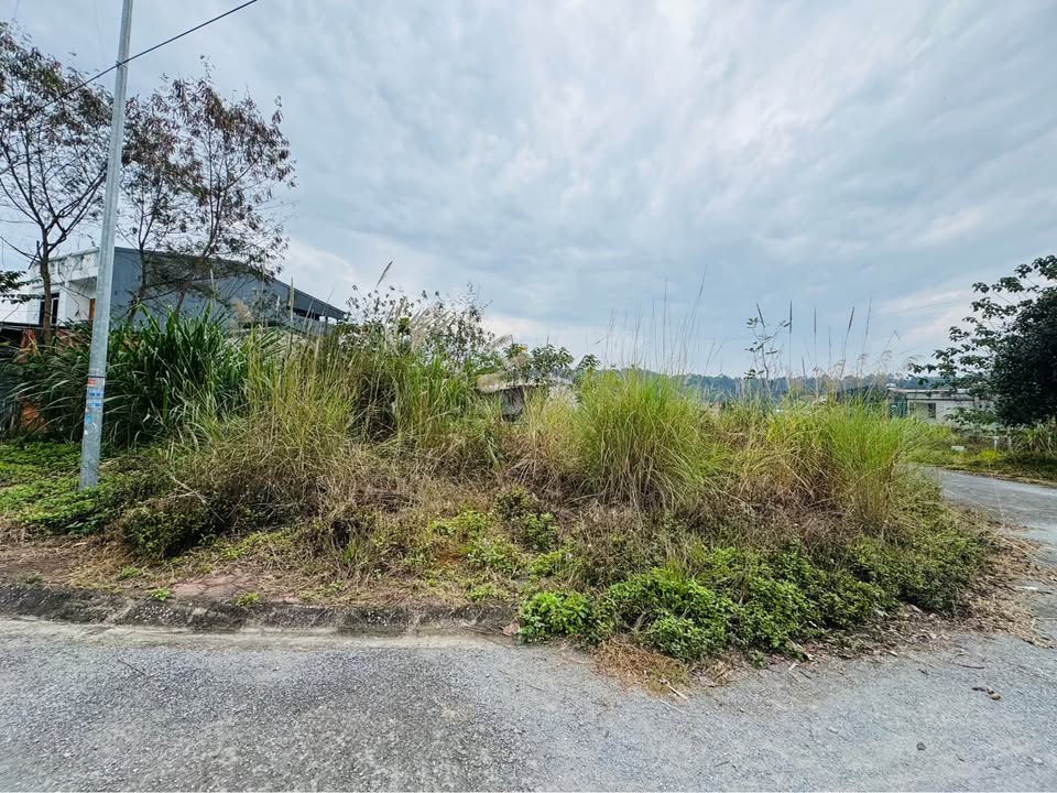 Đất Lô Góc Đường N6, Lào Cai 174m² - Sổ Đỏ Sẵn Sàng, Giá 2.45 Tỷ