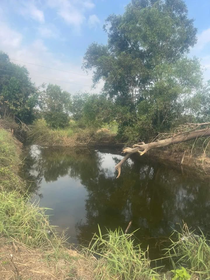 Đất vườn Thôn Dân Bình 11.956m² giá 7.306 tỷ - Đầu tư dài hạn