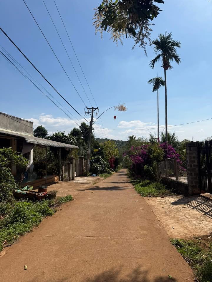 Đất nền Thôn 1, Dliê Yang, Ea H'leo 740m² - Sổ đỏ chính chủ