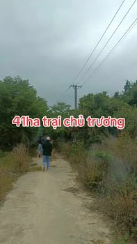 Bán Gấp Trang Trại 41 Ha Trại Heo, TP.HCM - Sẵn Sàng Xây Dựng, Hạ Tầng Hoàn Thiện