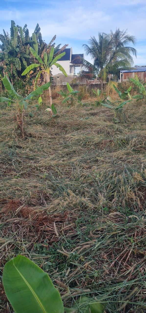 Đất Nền P.Phước Bình, Phước Long, Bình Phước - 450m² Giá Tốt