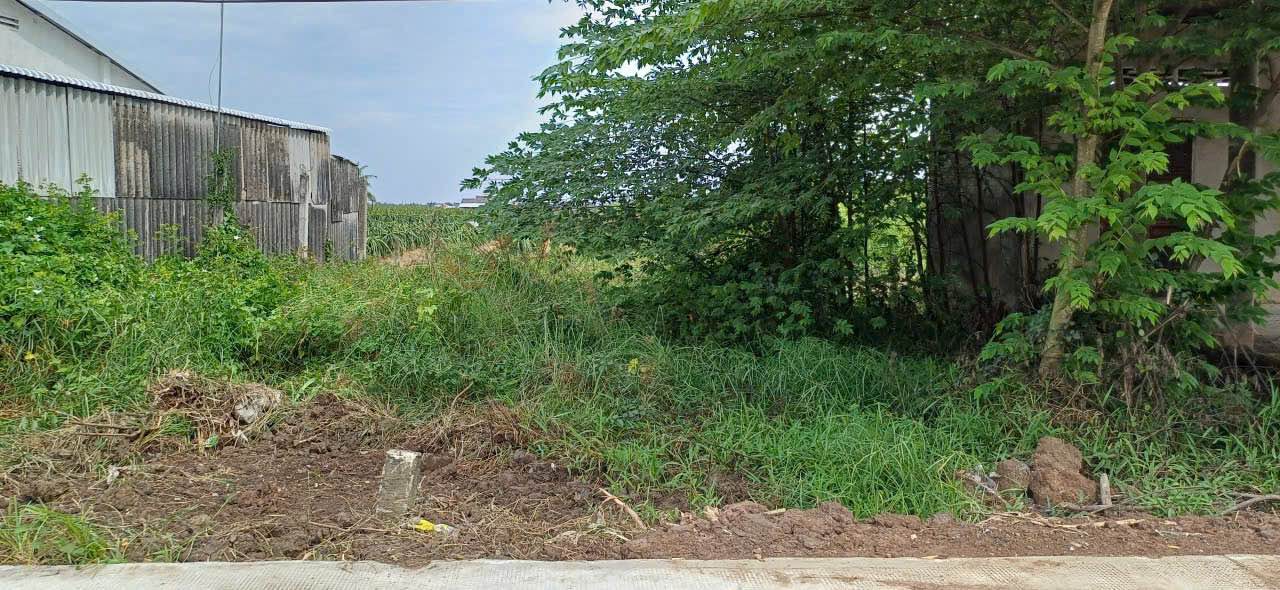 Bán Gấp 2 Lô Đất Nền 135m² Ấp Cầu Đúc, Châu Thành, Long An - Giá 450 Triệu/Lô