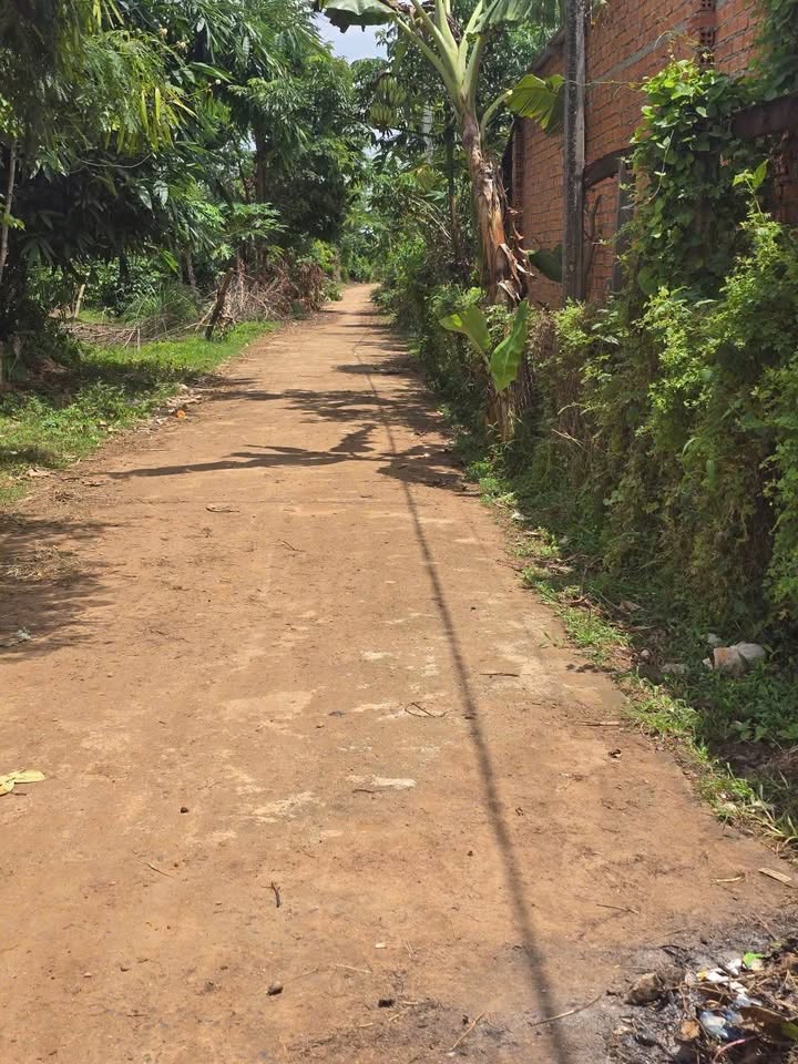 Đất nền Đắk Lắk 135m² - Sổ đỏ sẵn, giá đầu tư chỉ 139 triệu/lô