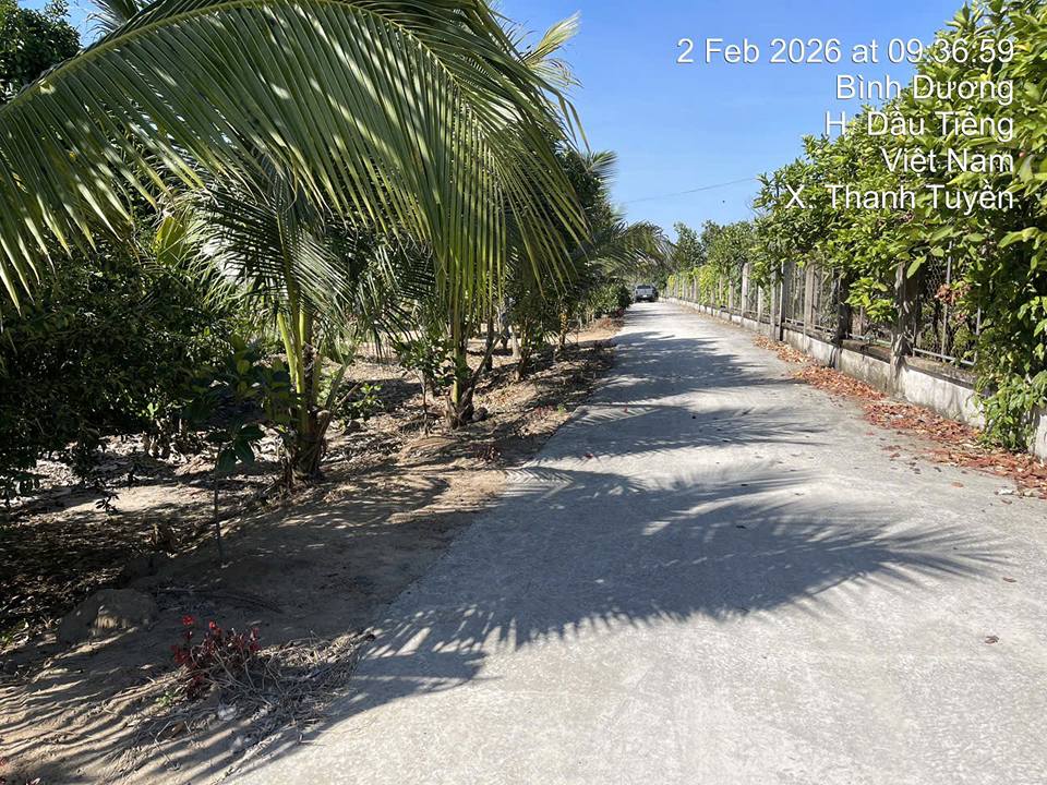 Đất nền Dầu Tiếng 175m² - Sổ đỏ 700 triệu - Đầu tư sinh lời