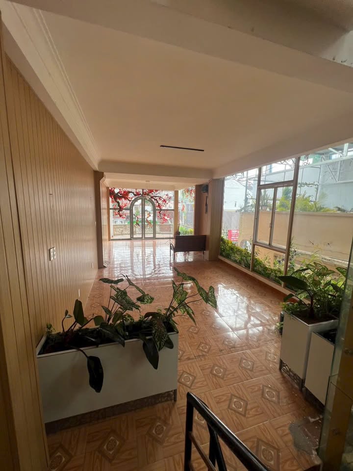 Mặt bằng 50m² Phan Đình Phùng Đà Lạt - Vị trí đắc địa!