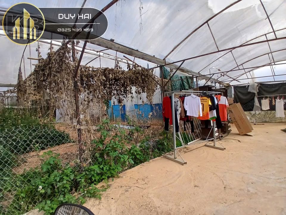 Đất nền Đà Lạt 92m² giá 1.1 tỷ - Sổ đỏ chính chủ