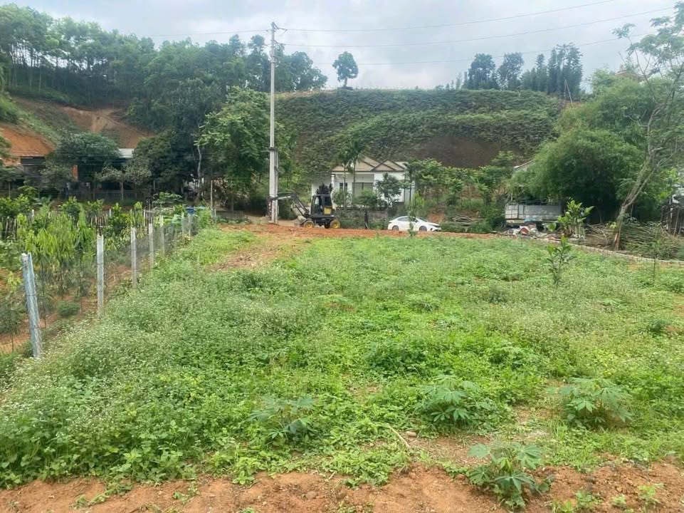 Đất nền Thành phố Yên Bái 705m² - Đường to ô tô, xây tự do!