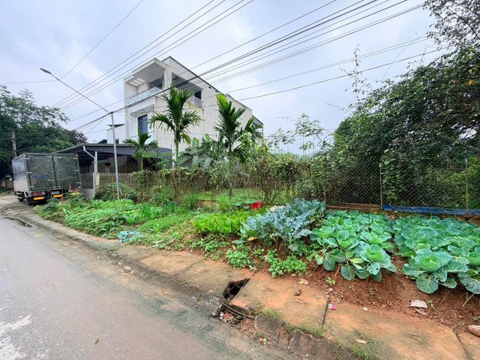 Đất nền 150m² đường Việt Cường, Yên Bái - Đường to ô tô, kinh doanh đỉnh!