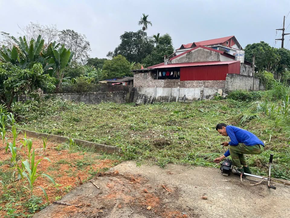 Bán đất Phường Phú Xá, TP Thái Nguyên - 258m² (200m² TC) - Chia 2 lô, ô tô vào tận đất!
