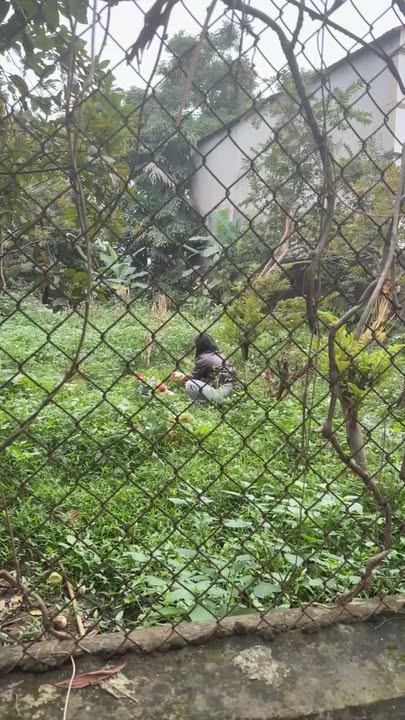 Đất nền Đắc Sơn Phổ Yên 100m² giá 9xx triệu - Sổ đỏ chính chủ!