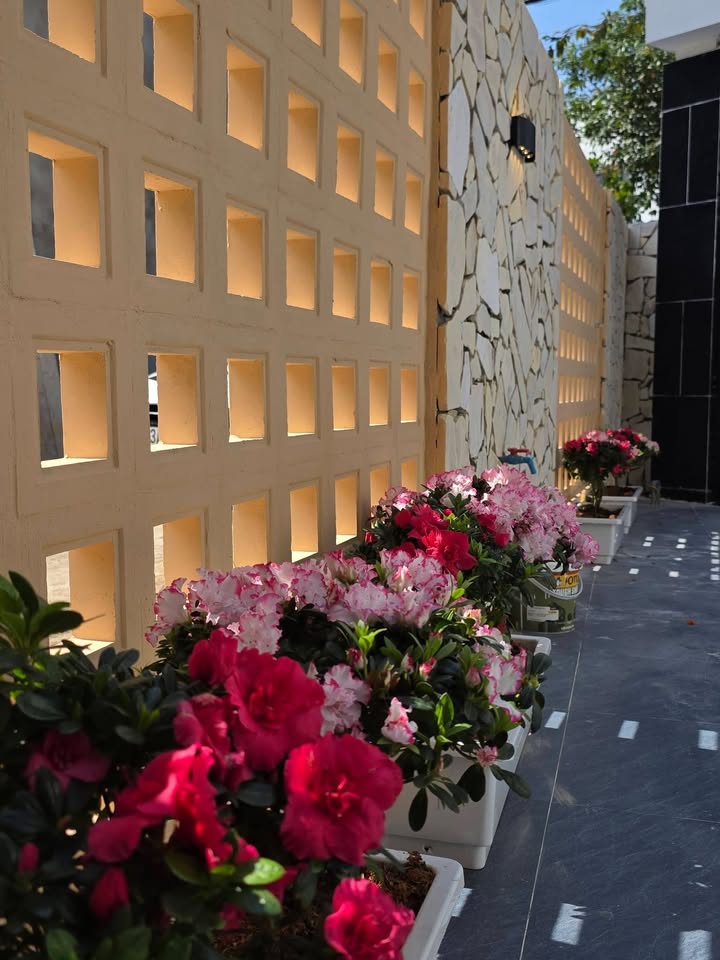 Nhà mặt tiền Nguyễn Như Hạnh, Cẩm Lệ 102m² - Mặt tiền kinh doanh đắc địa!