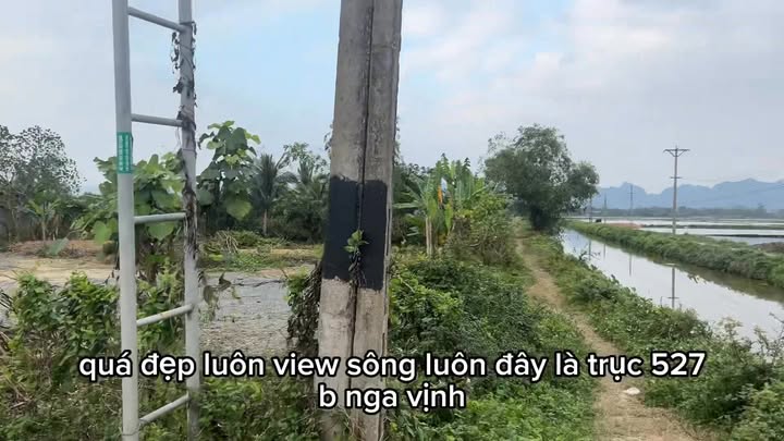 Đất nền Nga Sơn 316m² - Sổ đỏ chính chủ, tiềm năng sinh lời!