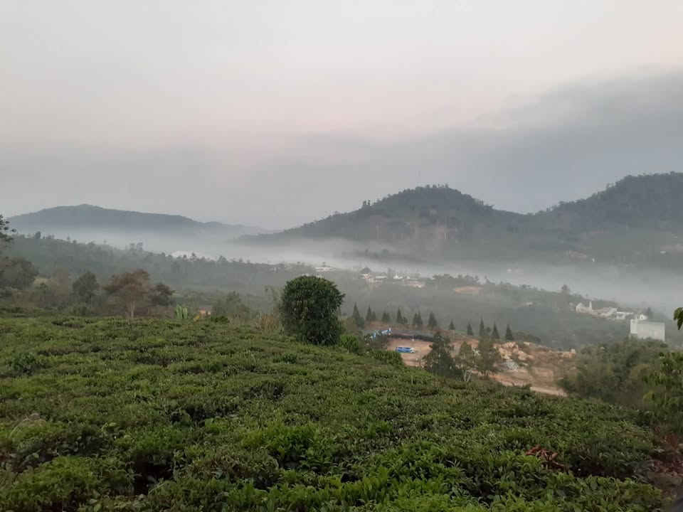 Đất nền Bàu Sen Long Khánh 300m² giá 3.7 tỷ - Sổ đỏ chính chủ