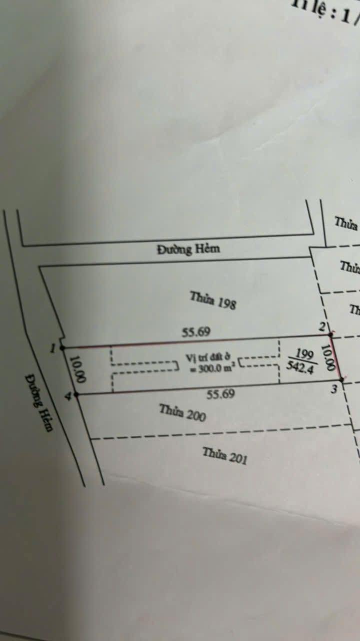 Đất vườn Long Hải 550m² giá 2.99 tỷ - Nghỉ dưỡng lý tưởng!