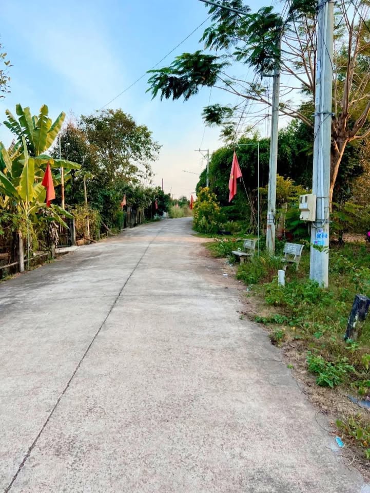 Đất nền Phú Giáo, Bình Dương 235m² - Sổ đỏ chính chủ, giá đầu tư