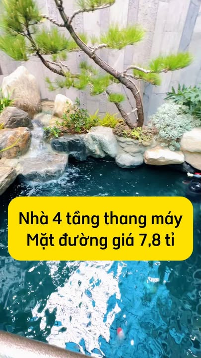 Nhà phố Nam Sơn An Dương 110m² - Mặt tiền kinh doanh, thiết kế Luxury