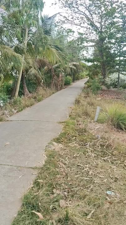 Đất nền Huyện lộ 29 Long Phú 945m² - Tiềm năng tăng giá vượt trội!