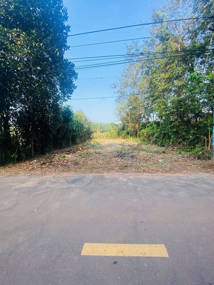 Đất nền Mỹ Phước Bến Cát 320m² giá 2 tỷ - Sổ hồng sẵn đầu tư ngay!