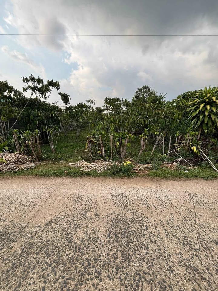 Đất nền Phường 1 Bảo Lộc 500m² giá 2 tỷ - Sổ đỏ chính chủ!