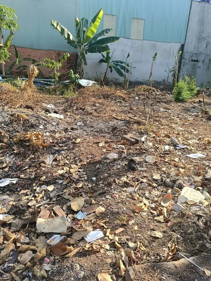 Bán Gấp Đất 60m² Đường N9, Đồng Xoài - Giá 700 Triệu