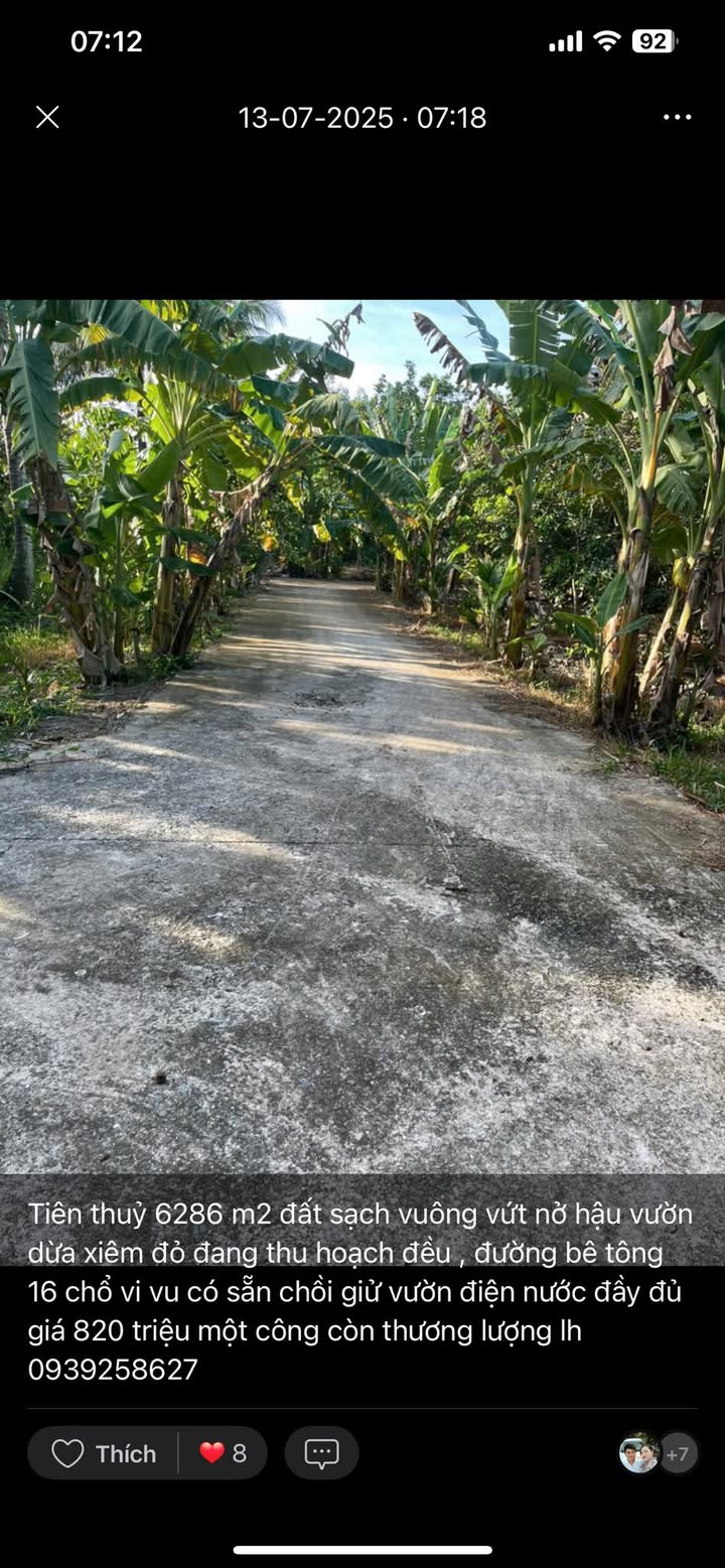 Bán Đất Vườn Dừa Thành Triệu 6286m² Giá 750 Triệu - Nghỉ Dưỡng Lý Tưởng!