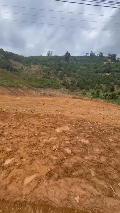 Lô đất Phước Bình, Bác Ái 7000m² giá 1.5 tỷ - Sổ đỏ chính chủ!