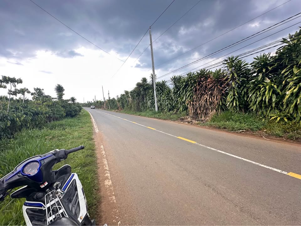 Đất vườn Lộc Phát, Bảo Lộc 3360m² - Sổ đỏ chính chủ, đầu tư sinh lời!